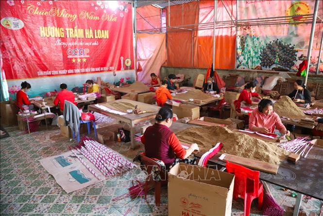 Hàng chục năm qua, các làng nghề hương trầm ở xã Quỳ Châu (tỉnh Nghệ An) không chỉ gìn giữ, trao truyền nét văn hóa dân tộc mà còn giải quyết nhu cầu việc làm, tạo sinh kế bền vững cho ngàn gia đình; góp phần quan trọng vào phát triển kinh tế địa phương. Ảnh: Xuân Tiến - TTXVN 
