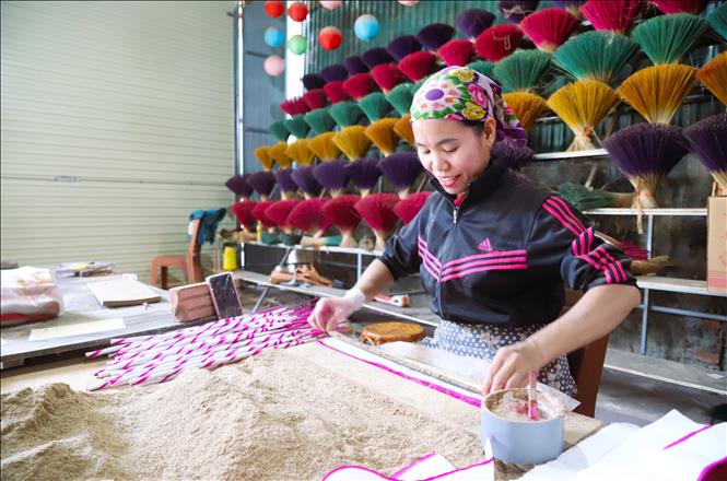 Cán hương (xoe hương, quấn hương) là giai đoạn quan trọng, quyết định đến tính thẩm mỹ của từng dòng sản phẩm hương trầm có kích thước dài, chu vi lớn nhỏ khác nhau. Ảnh: Xuân Tiến - TTXVN 