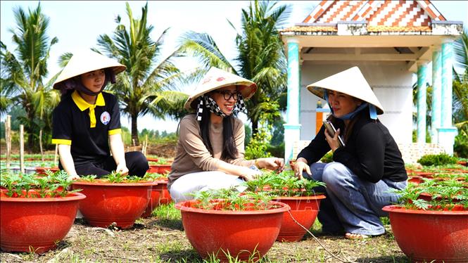 Tiểu thương tìm hiểu thị trường hoa kiểng tại làng hoa ấp Ruộng Sạ 2, xã Vĩnh Phong, An Giang. Ảnh: Văn Sĩ - TTXVN