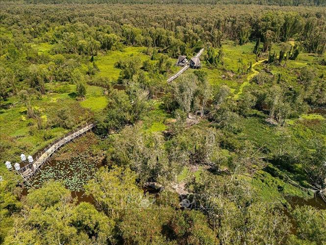 Khu du lịch sinh thái rừng Tràm Trà Sư (Tịnh Biên, An Giang) với diện tích 850 ha, là khu rừng tràm đẹp nhất và nổi tiếng nhất Việt Nam, nằm trong hệ thống các khu rừng đặc dụng của Việt Nam. Ảnh: Khánh Hoà – TTXVN