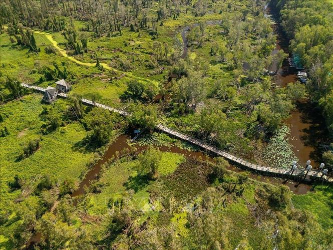 Khu du lịch sinh thái rừng Tràm Trà Sư (Tịnh Biên, An Giang) với diện tích 850 ha, là khu rừng tràm đẹp nhất và nổi tiếng nhất Việt Nam, nằm trong hệ thống các khu rừng đặc dụng của Việt Nam. Ảnh: Khánh Hoà – TTXVN