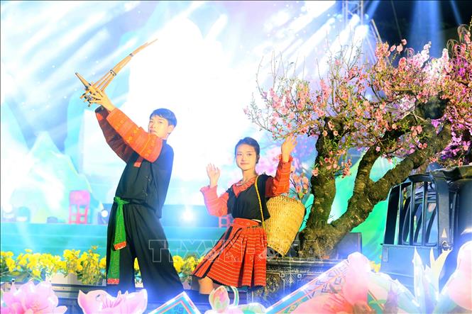 Giới thiệu, quảng bá các loại hoa rực rỡ trên cao nguyên Mộc Châu. Ảnh; Quang Quyết - TTXVN