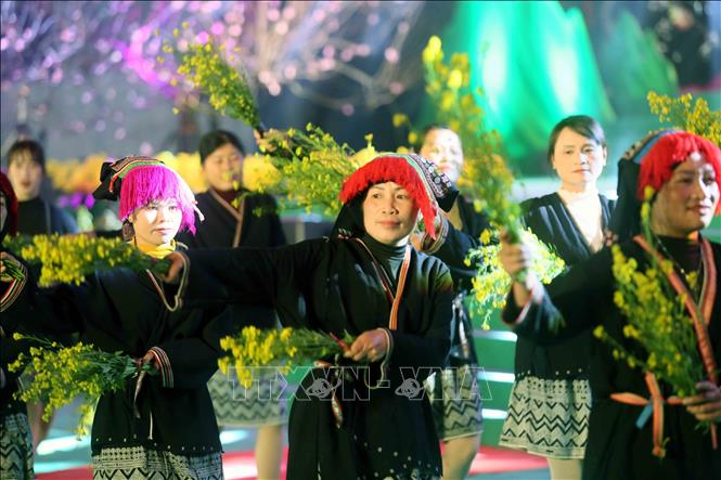 Giới thiệu, quảng bá các loại hoa rực rỡ trên cao nguyên Mộc Châu. Ảnh; Quang Quyết - TTXVN