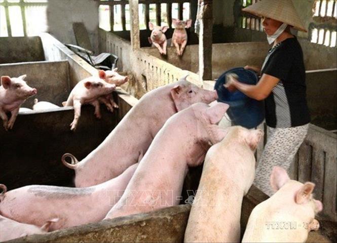 Công tác xóa đói giảm nghèo đạt được những thành tựu quan trọng, sớm đạt được nhiều chỉ tiêu phát triển thiên niên kỷ của Liên hợp quốc, được quốc tế đánh giá cao. Ảnh: Đình Huệ - TTXVN