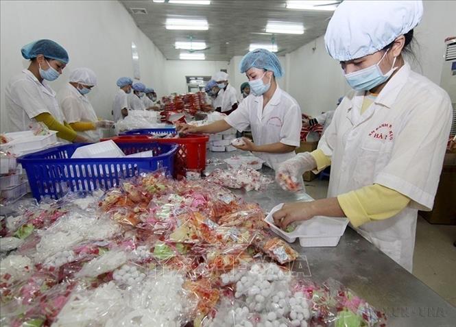 Sản xuất mứt Tết tại Công ty Cổ phần Bánh Mứt kẹo Hà Nội. Ảnh: Vũ Sinh - TTXVN