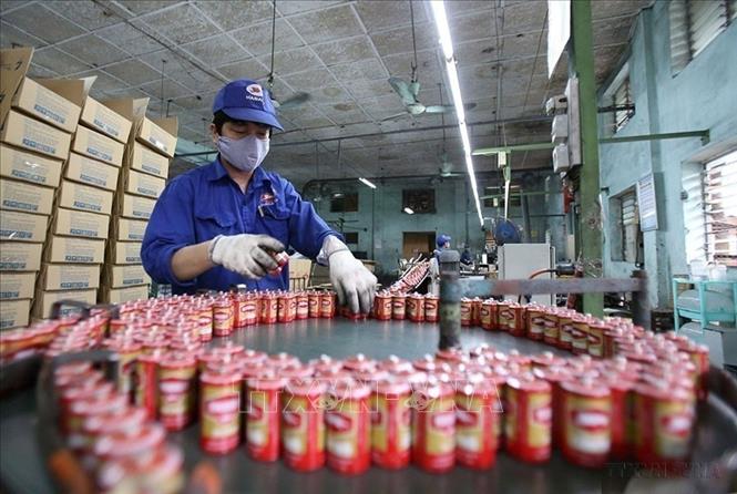 Dây chuyền sản xuất pin Con Thỏ của Công ty Cổ phần Pin Hà Nội thuộc Tập đoàn Hóa chất Việt Nam (2015). Ảnh: Hoàng Hùng - TTXVN