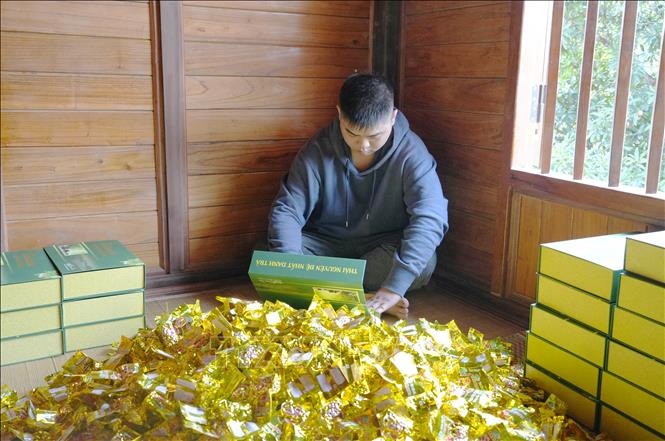 Packaging tea for the Tet market at the Song Cau Organic Tea Cooperative, Dong Hy commune, Thai Nguyen province. VNA Photo: Hoàng Nguyên