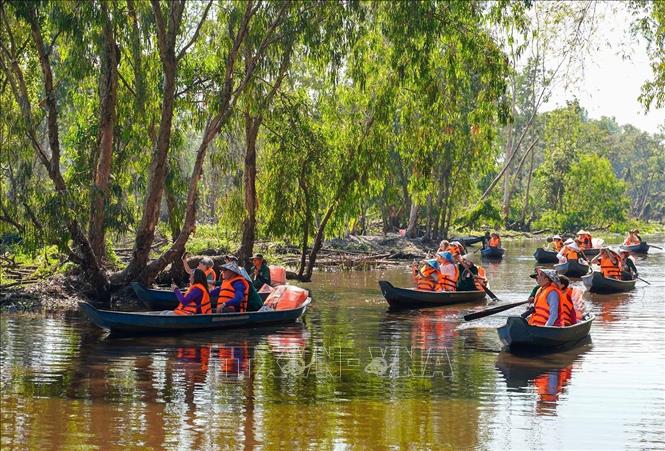 Rừng tràm Trà Sư thu hút du khách bởi sự đa dạng sinh học. Ảnh: Khánh Hoà - TTXVN