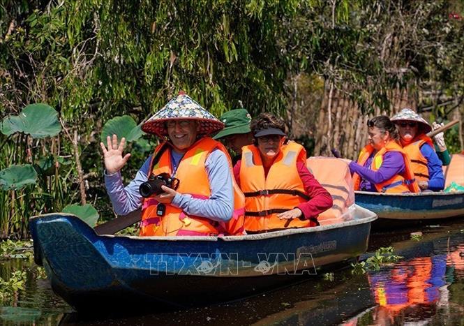 Rừng tràm Trà Sư thu hút du khách bởi vẻ đẹp và sự đa dạng sinh học. Ảnh: Khánh Hoà - TTXVN