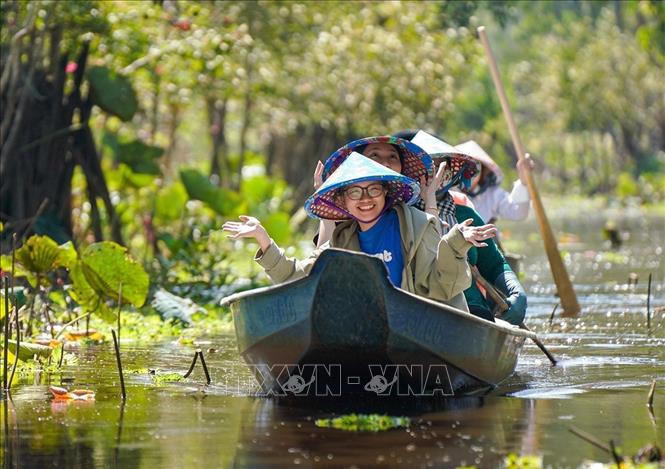 Rừng tràm Trà Sư thu hút du khách trong nước và quốc tế. Ảnh: Khánh Hoà - TTXVN