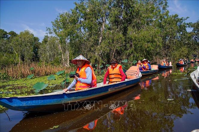 Rừng tràm Trà Sư thu hút du khách bởi vẻ đẹp thơ mộng, đa dạng sinh học. Ảnh: Khánh Hoà - TTXVN