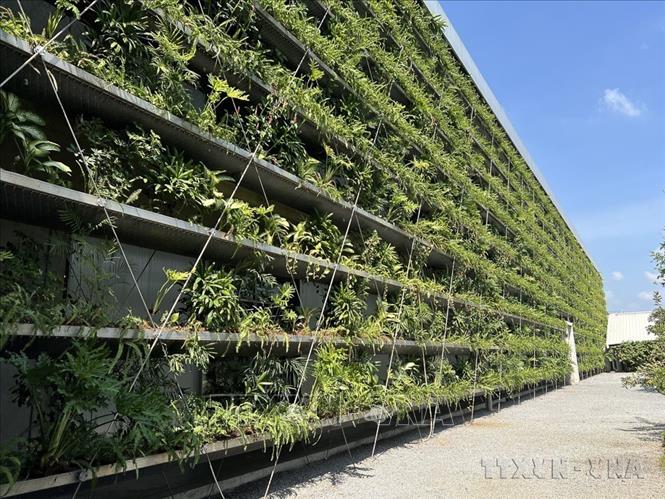 Đảng đã xác định rõ bảo vệ môi trường, ứng phó với biến đổi khí hậu và bảo tồn đa dạng sinh học là yêu cầu gắn liền với phát triển kinh tế – xã hội, không thể tách rời hay xem nhẹ. Trong ảnh: Những khu công nghiệp xanh áp dụng công nghệ hiện đại tại Bình Dương. Ảnh: Dương Chí Tưởng -TTXVN