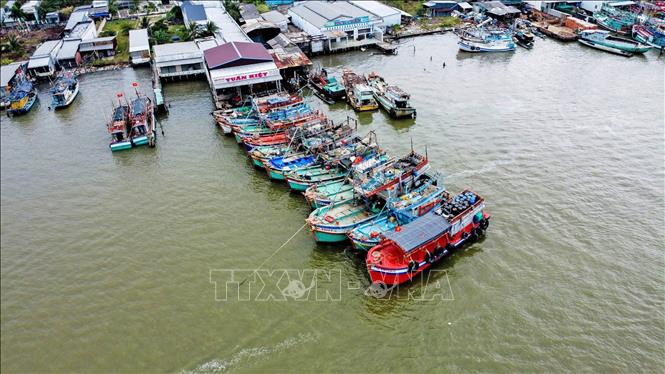 Nhộn nhịp ghe tàu cập bến tại những vựa cá ở cửa biển Sông Đốc. Ảnh: Huỳnh Anh - TTXVN