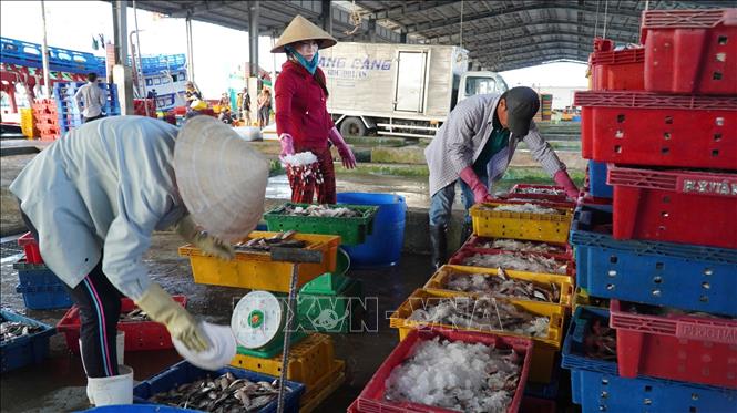 Không khí lao động, mua bán trong những ngày cuối năm diễn ra hết sức khẩn trương, nhộn nhịp tại Cảng cá Sông Đốc. Ảnh: Huỳnh Anh - TTXVN