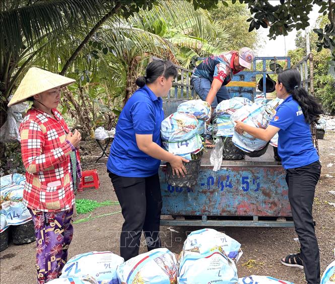 Bà Trần Thị Thanh Thuỷ, khóm Đông Huề, phường Sa Đéc tiêu thụ được 3000 chậu/8000 chậu cúc mâm xôi nở sớm nhờ thương mại điện tử. Ảnh: Hồng Nhung - TTXVN
