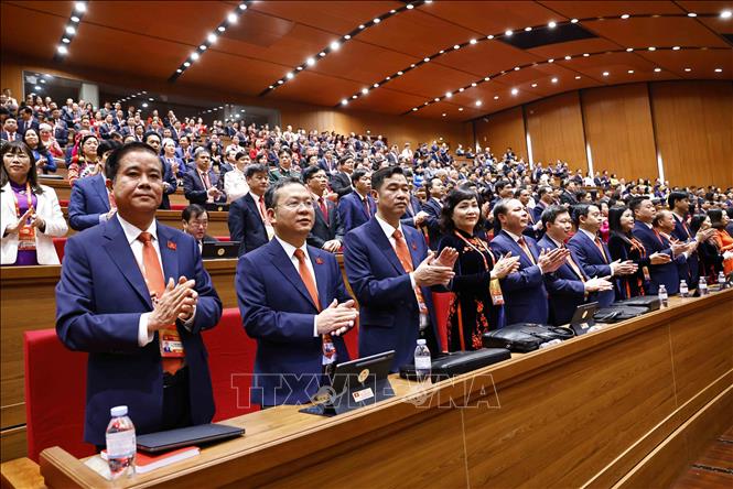 Các đại biểu dự phiên khai mạc Đại hội XIV của Đảng. Ảnh: TTXVN