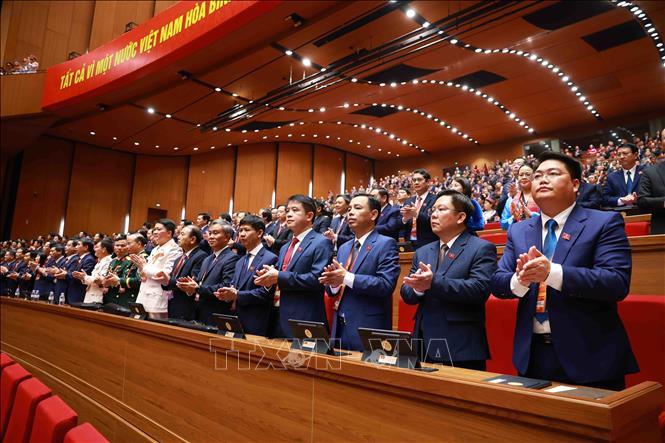 Các đại biểu dự phiên khai mạc Đại hội XIV của Đảng. Ảnh: TTXVN