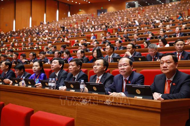 Đoàn đại biểu Đảng bộ tỉnh Hà Tĩnh tham dự phiên khai mạc Đại hội XIV của Đảng. Ảnh: TTXVN 