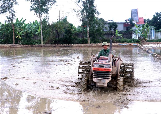 Nông dân xã Hưng Hà (Hưng Yên) làm đất chuẩn bị cấy lúa vụ Đông Xuân. Ảnh: Đinh Văn Nhiều-TTXVN