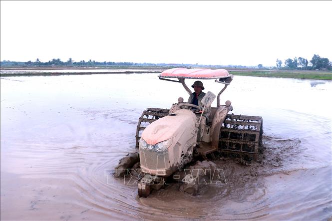 Nông dân xã Hưng Hà (Hưng Yên) làm đất chuẩn bị cấy lúa vụ Đông Xuân. Ảnh: Đinh Văn Nhiều-TTXVN
