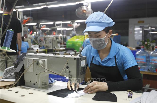Công nhân lao động sản xuất giày tại Công ty TNHH Thương mại giày da Giang Phạm, phường An Phú, Thành phố Hồ Chí Minh. Ảnh: Thanh Vũ - TTXVN