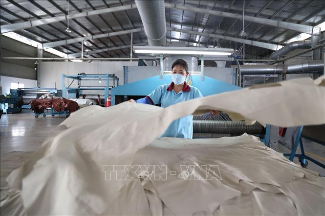 Công nhân làm việc trong khu công nghiệp chuyên sâu Phú Mỹ 3, phường Tân Phước, Thành phố Hồ Chí Minh. Ảnh: Hồng Đạt - TTXVN