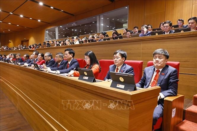 Đoàn đại biểu Đảng bộ tỉnh Quảng Ngãi dự phiên khai mạc Đại hội XIV của Đảng. Ảnh: TTXVN