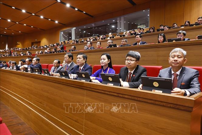 Đoàn đại biểu Đảng bộ tỉnh Quảng Ngãi dự phiên khai mạc Đại hội XIV của Đảng. Ảnh: TTXVN