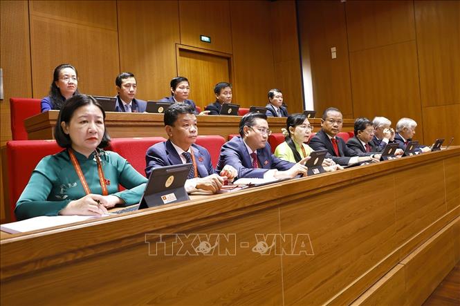 Đoàn đại biểu Đảng bộ tỉnh Tây Ninh dự phiên khai mạc Đại hội. Ảnh: TTXVN
 