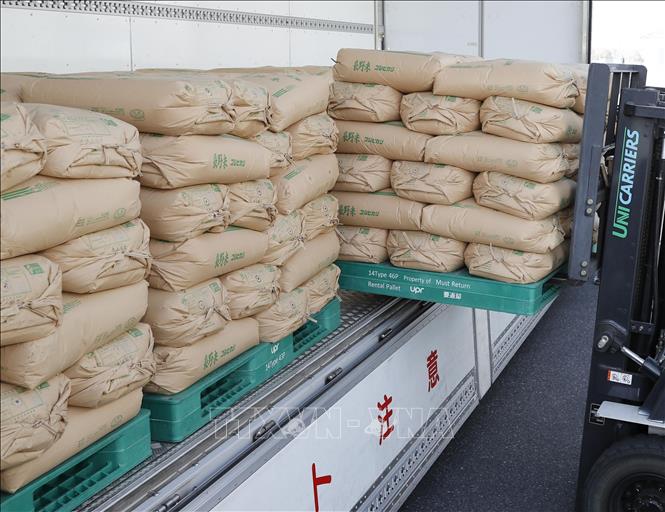 Gạo tại kho dự trữ ở Saitama, Nhật Bản. Ảnh: Kyodo/TTXVN