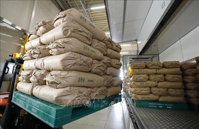 Gạo tại kho dự trữ ở Saitama, Nhật Bản. Ảnh: Kyodo/TTXVN