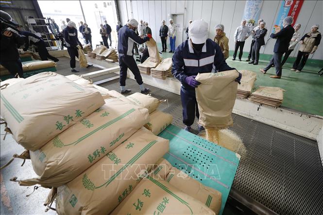 Gạo tại kho dự trữ ở Saitama, Nhật Bản. Ảnh: Kyodo/TTXVN
