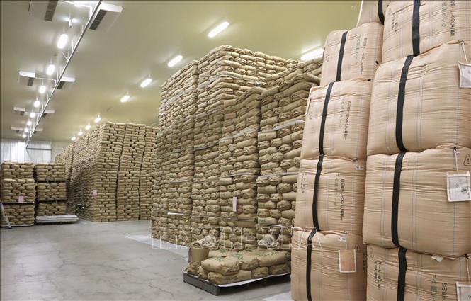 Gạo tại kho dự trữ ở Fukushima, Nhật Bản. Ảnh: Kyodo/TTXVN
