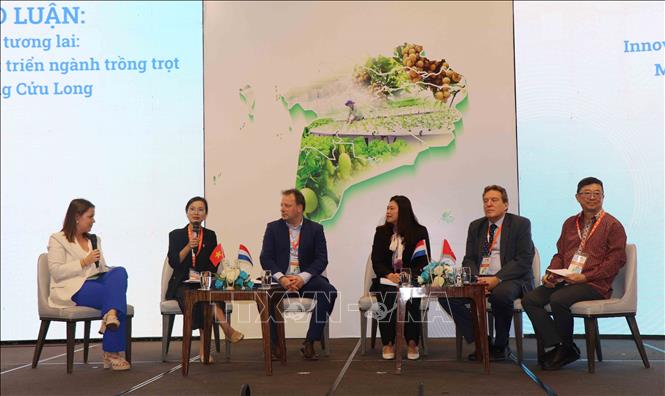 Đại biểu thảo luận những đổi mới sáng tạo cho phát triển ngành trồng trọt của Đồng bằng sông Cửu Long. Ảnh: Thu Hiền - TTXVN