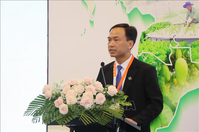 Tiến sĩ Lê Văn Lâm, Phó Hiệu trưởng Đại học Cần Thơ, phát biểu tại diễn đàn. Ảnh: Thu Hiền - TTXVN