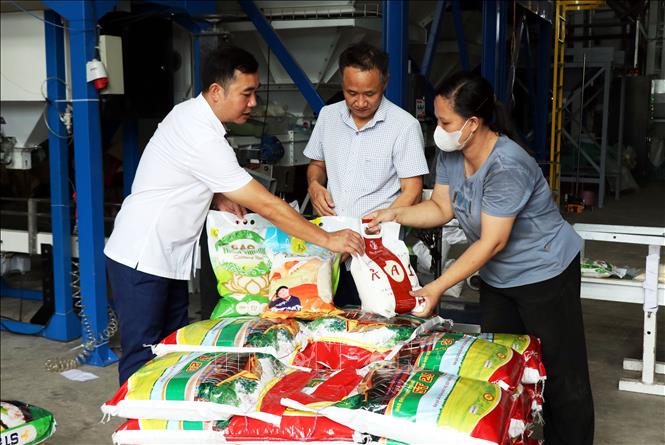 Các sản phẩm gạo của Công ty TNHH Cường Tân (xã Ninh Cường, tỉnh Ninh Bình). Ảnh: Nguyễn Lành - TTXVN