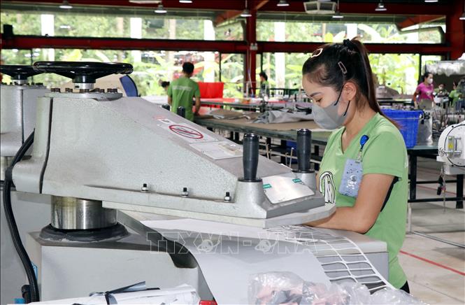 Công nhân làm việc tại Công ty TNHH Maxport Limited Việt Nam - Chi nhánh Nam Định (phường Nam Định, tỉnh Ninh Bình). Ảnh: Nguyễn Lành - TTXVN