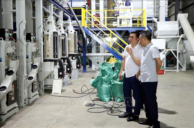 Dây chuyền sản xuất gạo của Công ty TNHH Cường Tân (xã Ninh Cường, tỉnh Ninh Bình). Ảnh: Nguyễn Lành - TTXVN
