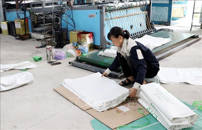 Sản xuất bao bì tại Công ty Cổ phần Trịnh Nghiên (xã Quỹ Nhất, tỉnh Ninh Bình). Ảnh: Nguyễn Lành - TTXVN