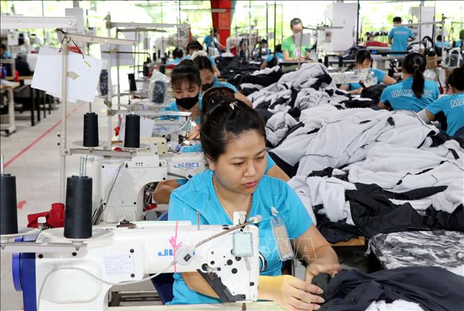 Công nhân làm việc tại Công ty TNHH Maxport Limited Việt Nam - Chi nhánh Nam Định (phường Nam Định, tỉnh Ninh Bình). Ảnh: Nguyễn Lành - TTXVN