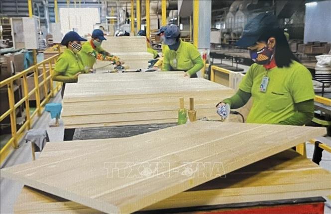 Processing furniture at Thuan An Wood Factory in Ho Chi Minh City. Photo: Hong Nhung – VNA