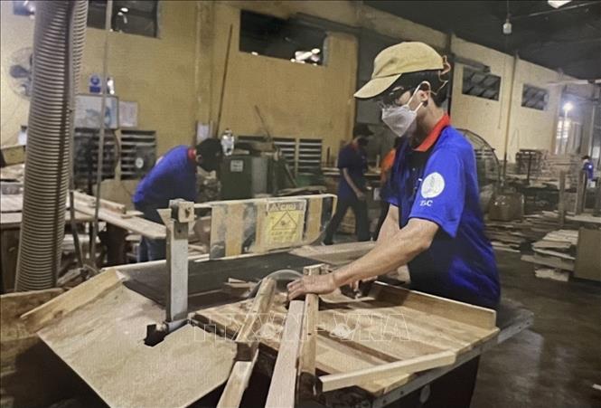 Processing furniture at Thuan An Wood Factory in Ho Chi Minh City. Photo: Hong Nhung – VNA