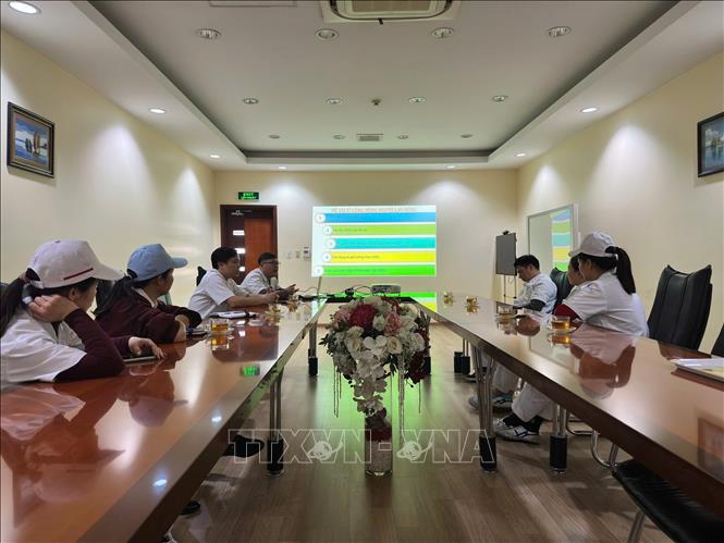 Chi bộ Công ty TNHH Arai Việt Nam, Đảng ủy KCN Nhật Bản – Hải Phòng tổ chức sinh hoạt định kỳ. Ảnh Tiến Vĩnh – TTXVN