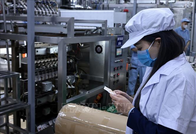 Đoàn kiểm tra một đơn vị sản xuất thực phẩm Trường An, An Khánh, Hà Nội. Ảnh: Trần Việt - TTXVN