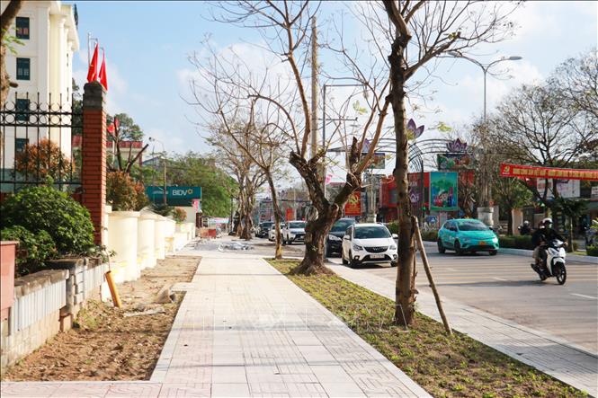 Nhiều đoạn vỉa hè đã hoàn thiện các hạng mục chính. Ảnh: Tường Vi - TTXVN