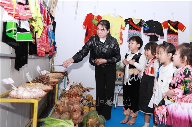 Các sản vật nông sản được giáo viên của trường gắn tên bằng tiếng Việt giúp các em có thêm kỹ năng biết về ngôn ngữ gần gũi với đời sống hàng ngày. Ảnh: Quý Trung – TTXVN