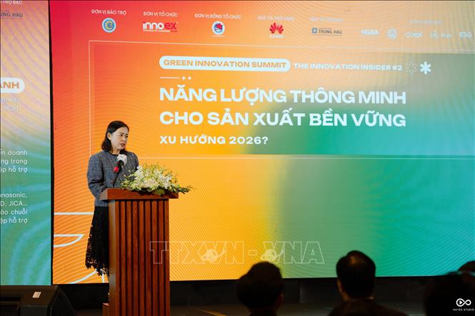 Bà Lê Nguyễn Duy Oanh, Phó Giám đốc Trung tâm Phát triển Công nghiệp Hỗ trợ (CSID), Sở Công Thương TP. Hồ Chí Minh phát biểu tại hội nghị. Ảnh: Thanh Vũ-TTXVN