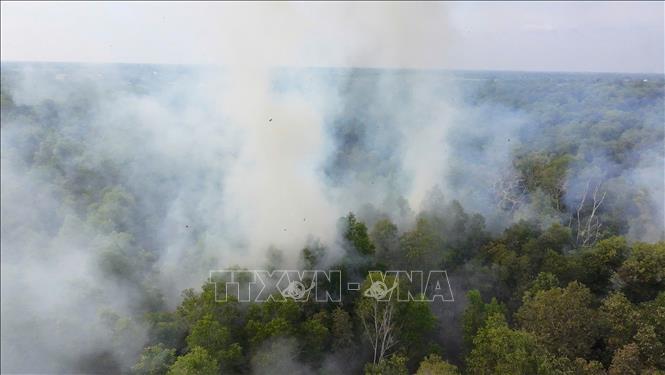 Hiện trường vụ cháy lan ra trên diện rộng. Ảnh: TTXVN phát