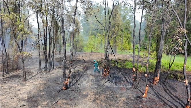 Các lực lượng tại địa phương nỗ lực khống chế, không cho đám cháy lan rộng. Ảnh: TTXVN phát