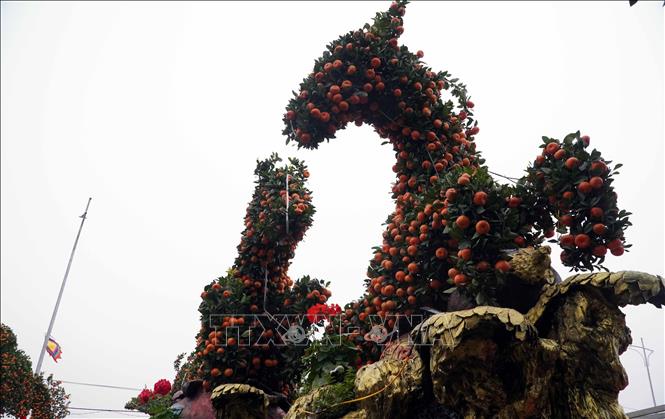 Anh Nguyễn Văn Hưng, chủ nhà vườn Hưng Tâm ở xã Mễ Sở (Hưng Yên) cho biết để chơi được các cây quýt cảnh độc đáo, bề thế như 